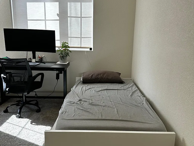 Office/1st bedroom in the ground floor