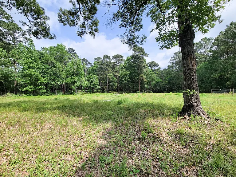 20284 Forest Woods Ln — Photo 38