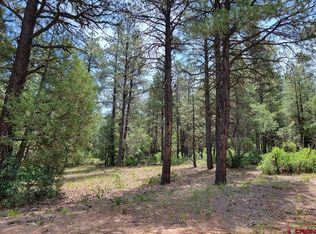 Echo Lake Access Easement, Pagosa Springs, CO 81147