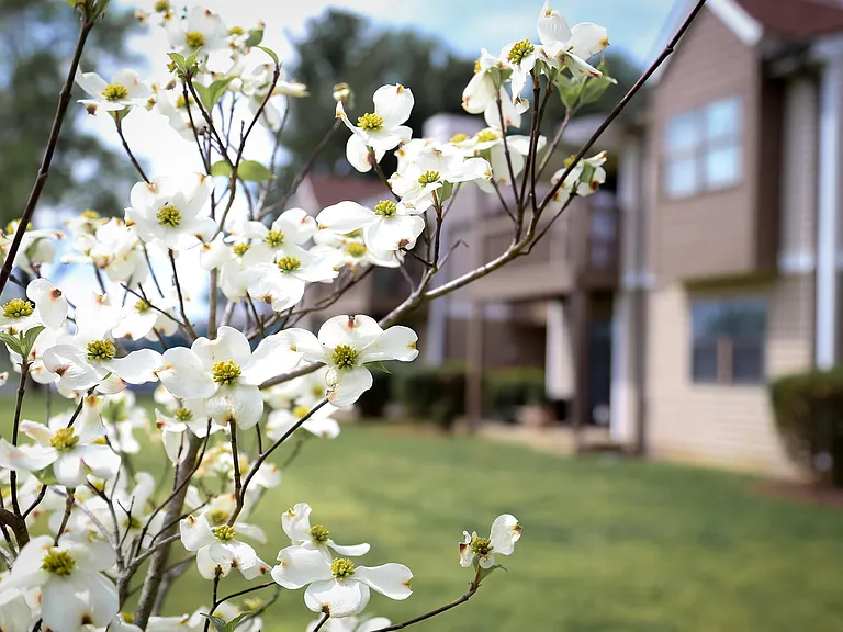 BEAUTIFUL LANDSCAPING