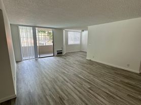 12221 San Vicente Blvd