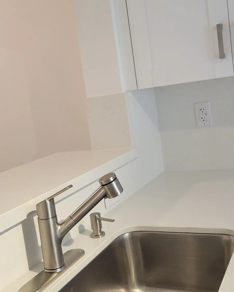 2 bed, 980 sqft, $2,000 — Photo 4