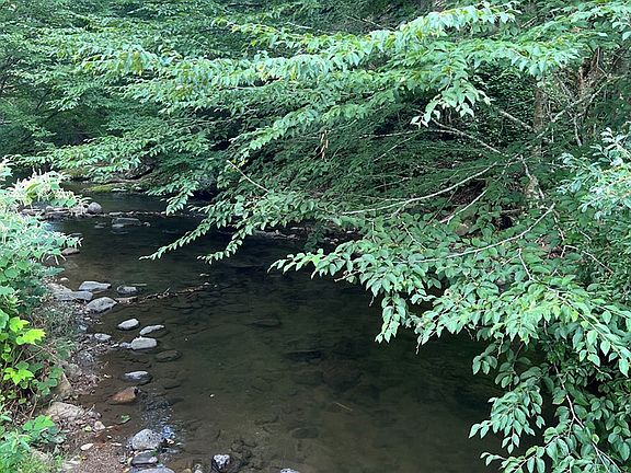 5th image of 125 Fees Ridge Ln