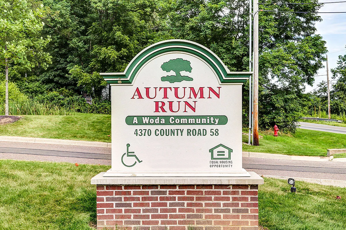 Autumn Run — Photo 4