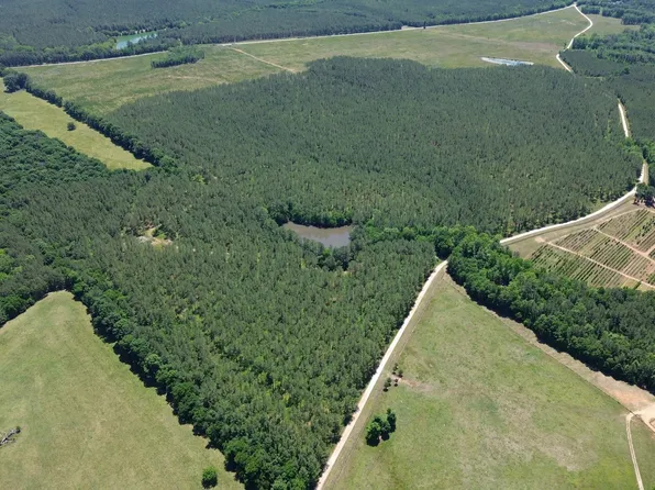 0 Flatwoods & Colonel Dixon Roads, Elberton, GA 30635