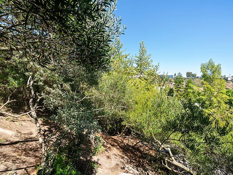 2210 Bridge Rd — Photo 35