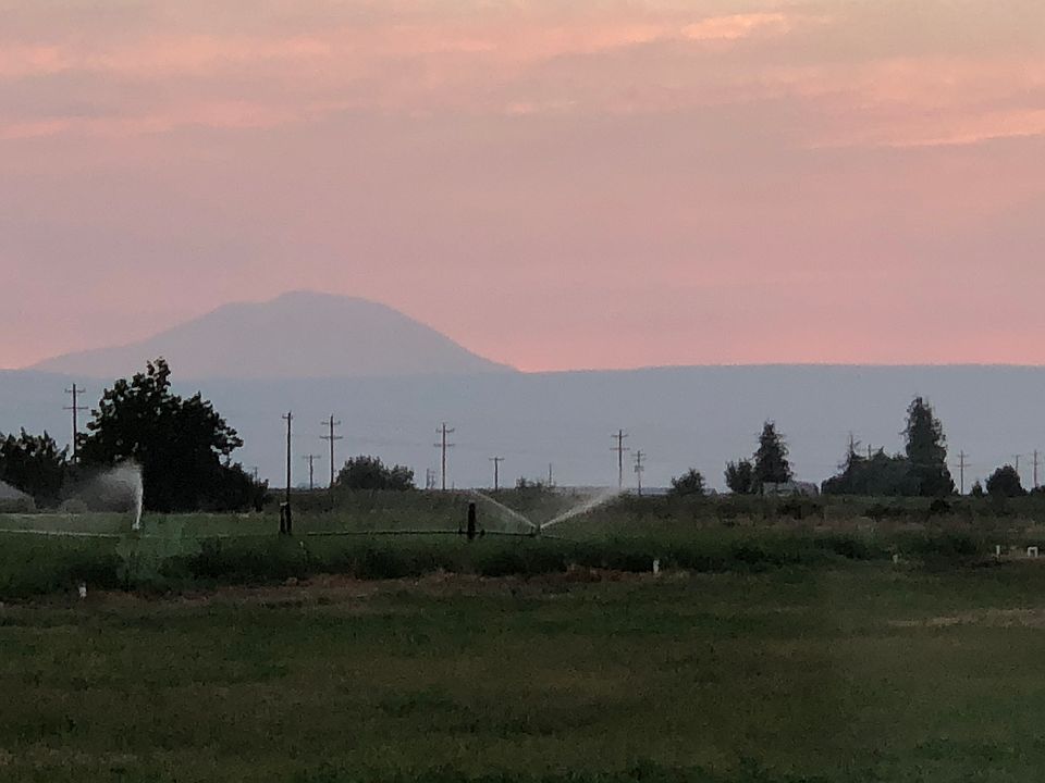 View of Mt Adams 