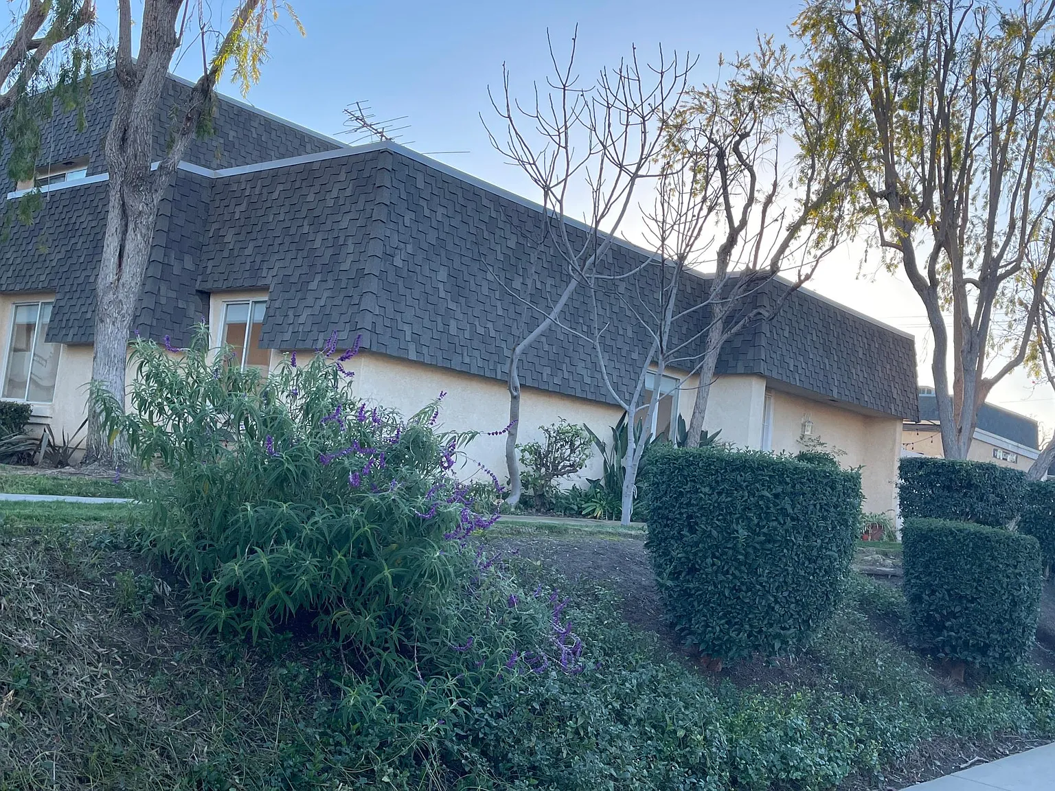 3 bed, 1156 sqft, $4,000 — Photo 4