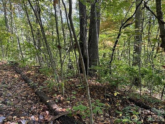 2nd image of H16-H17 Shady Grove Rd