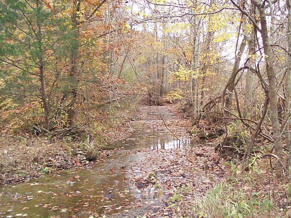 4th image of 0 Kentucky #1058