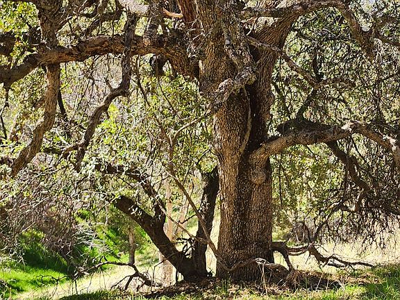 2nd image of 40 Seminole Rd