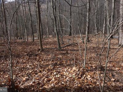 22556 Loop Rd, Doylesburg, PA, 17219