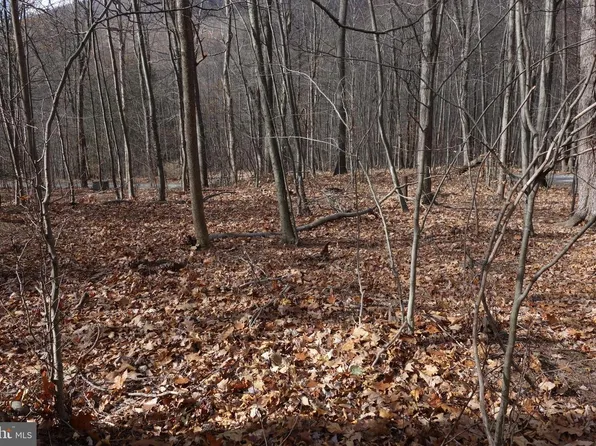 22556 Loop Rd, Doylesburg, PA 17219