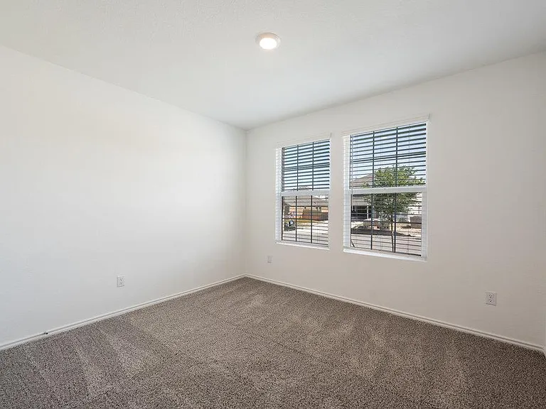 3210 Dusted Daisy St — Photo 24