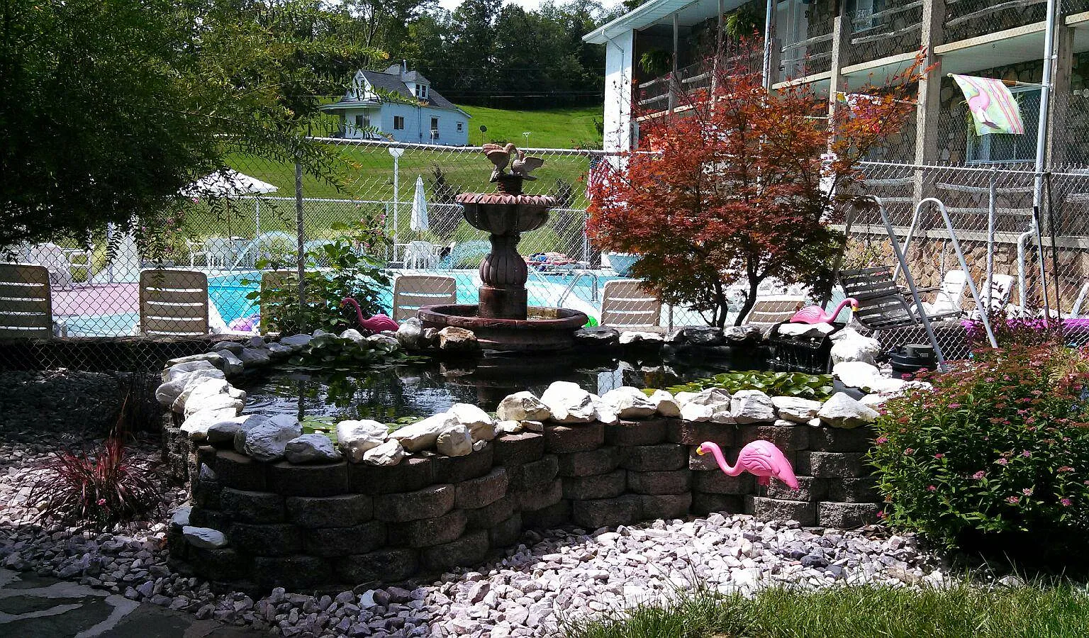 2 bed, 720 sqft, $1,000 — Photo 3