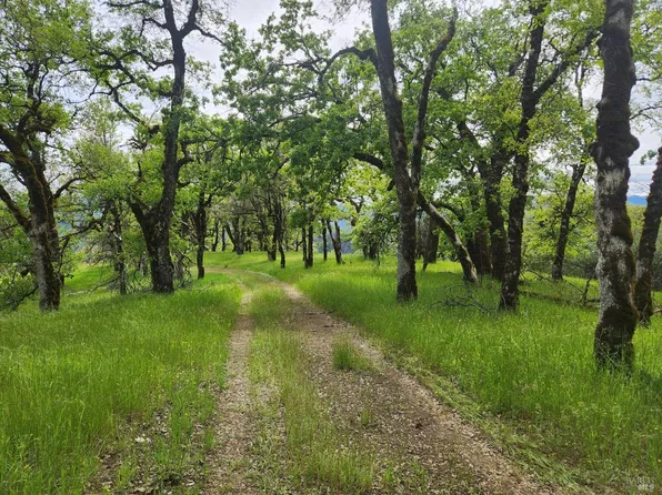 30374 Mendocino Pass Road, Covelo, CA 95428