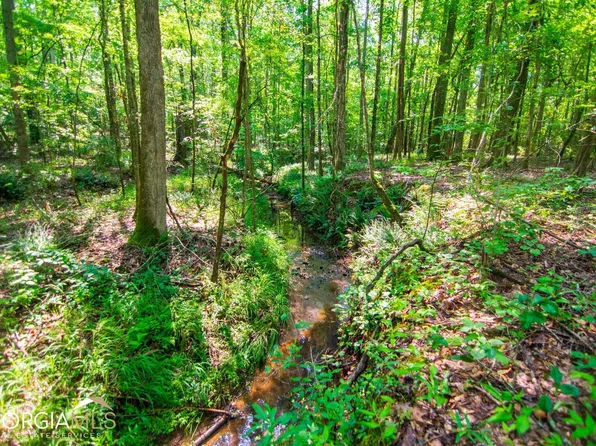 0 Baker Rd, Shiloh, GA 31826