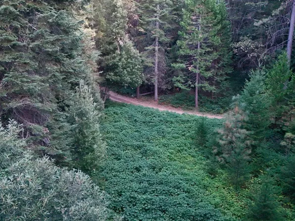 10466 N Slope Trl, Camptonville, CA 95922