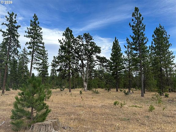 4th image of LOT 5 Greyback Mountain Road 5