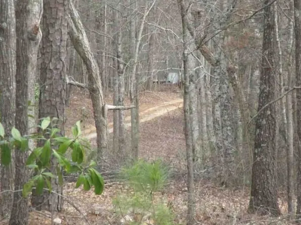 95 Morgan Rd, Griffin, GA 30224