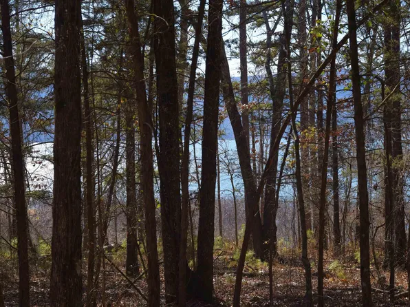 TRACT A/B Shiloh Cove Ln, Higden, AR 72067