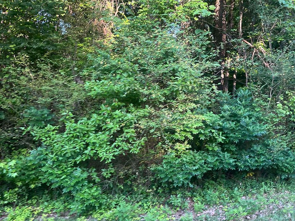 2nd image of LOT 36 Tanglewood Dr #Ii