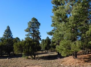2220 Meadow Trl, Overgaard, AZ 85933