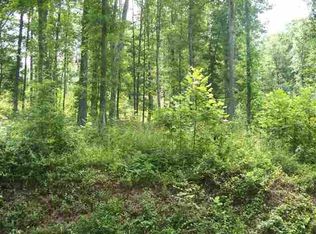 Toestring Valley Rd, Spring City, TN 37381