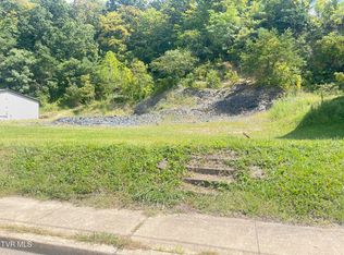 106 Water St, Johnson City, TN 37601