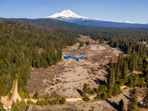 10 Circle Seven Rd, McCloud, CA 96057
