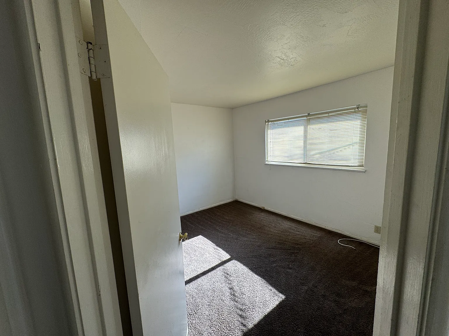 2 bed, 805 sqft, $1,650 — Photo 4