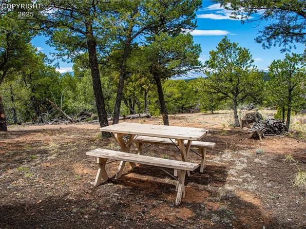 250 Cottonwood Dr, Cotopaxi, CO 81223