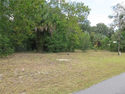 6385 & 6401 W Avocado St, Crystal River, FL, 34429