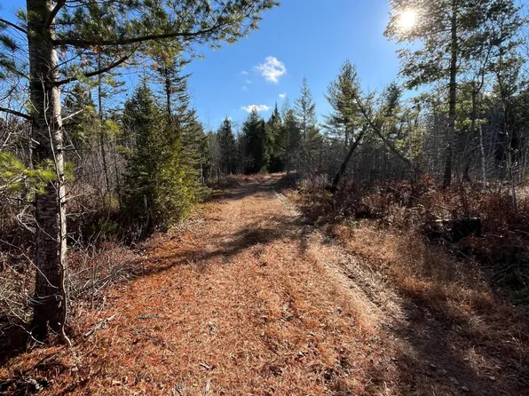 0 Duck Lake Trl, Newberry, MI 49868