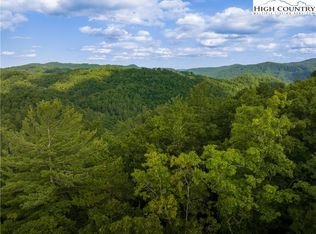 33 Inkberry Drive, Ferguson, NC 28724