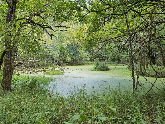 4th image of 0 Old Nashville Hwy Lot 4