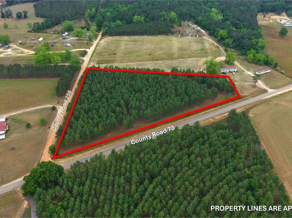 5/ACRE S County Road 73, Headland, AL 36345