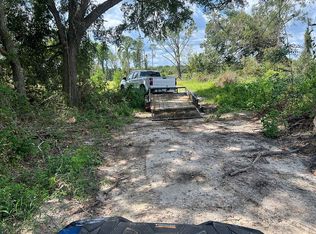0 Holt Rd, Climax, GA 39834