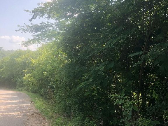 5th image of Hidden Estates Way