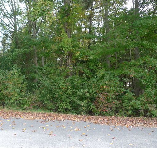 1st image of 448 Fanfare Ln
