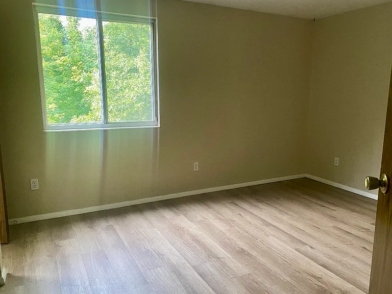 2984 Pinecone Ln — Photo 21
