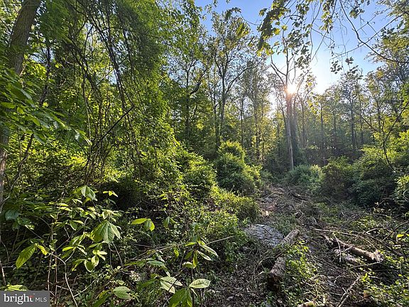 2nd image of Edgemont Rd