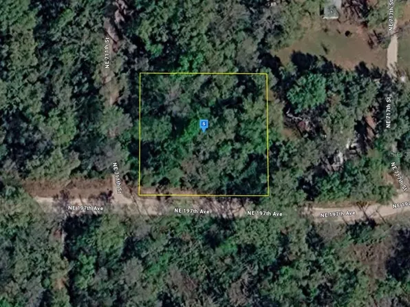 11 NE 717th St, Old Town, FL 32680