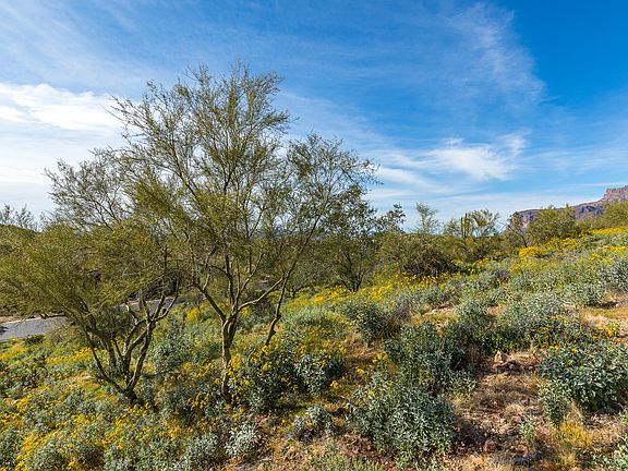 5th image of 3933 S Avenida De Angeles Lot 105