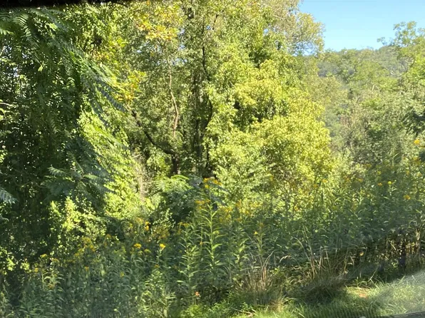 Third Renroy Dr, Cumberland, MD 21502