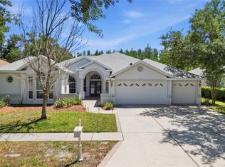 10206 Shadow Branch Dr, Tampa, FL 33647