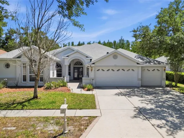 10206 Shadow Branch Dr, Tampa, FL 33647