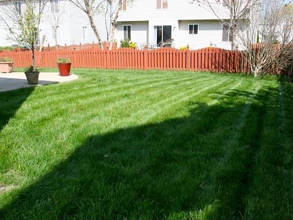 Alternate View Back Yard