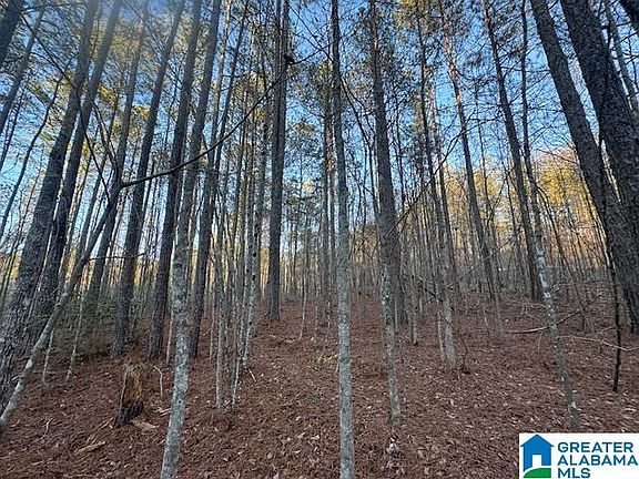 2nd image of 170 Valley Grove Rd