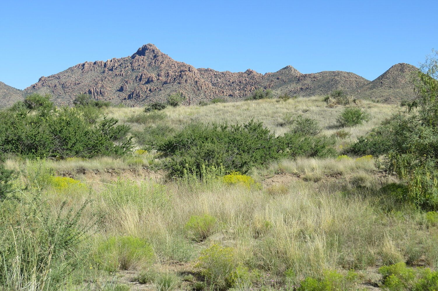 On Centerfire Rd LOT 15, Skull Valley, AZ 86338 Zillow